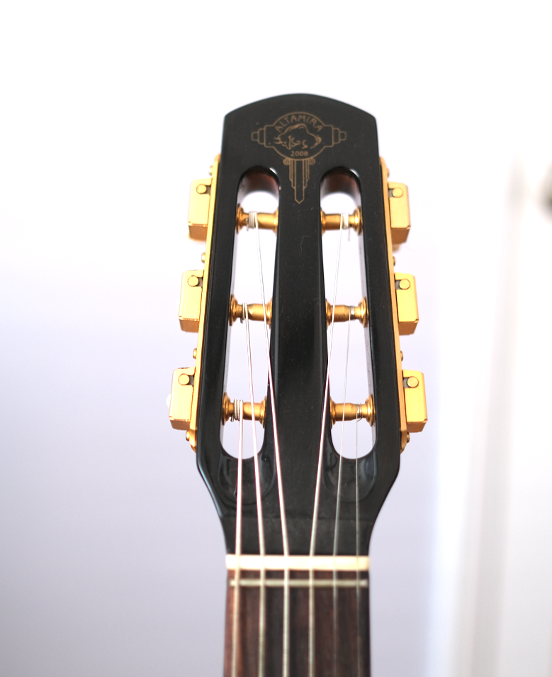 websize headstock.png