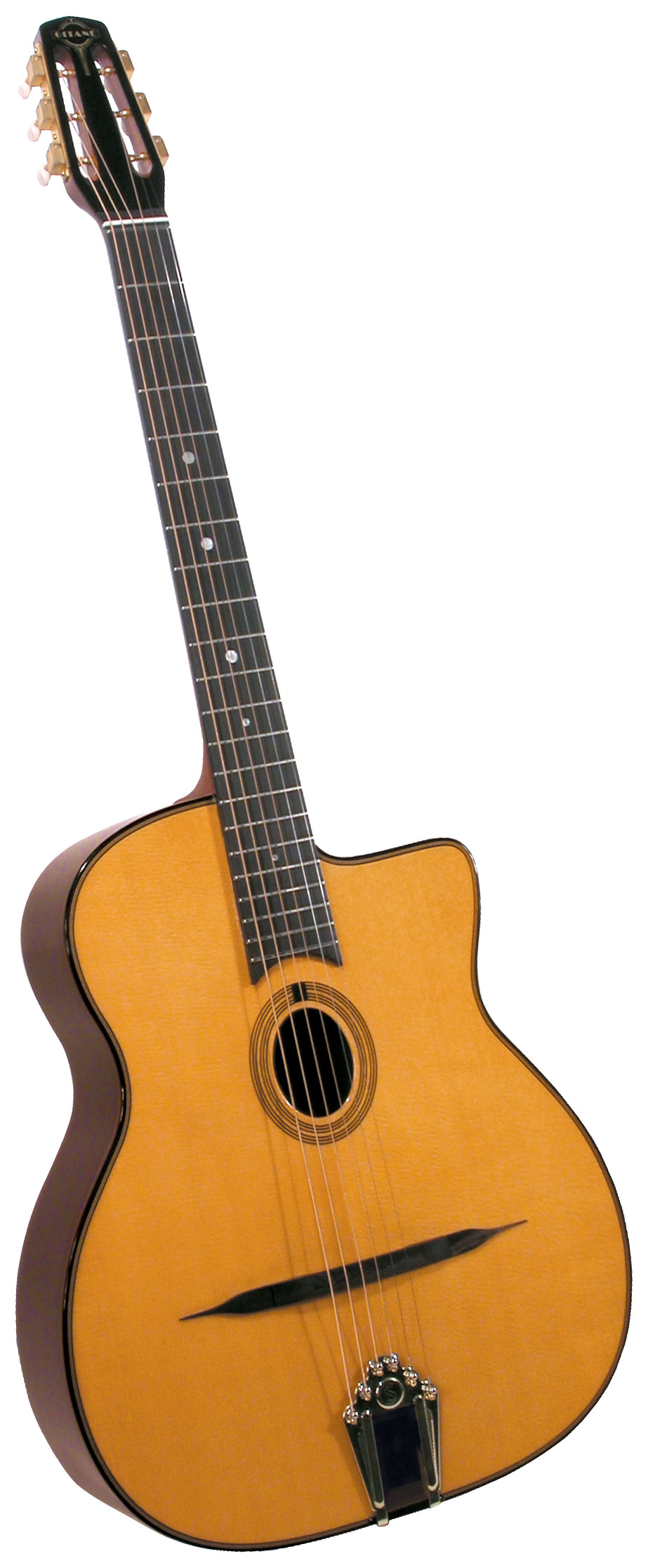 ジャズギターGITANE DG-255（専用ハードケース付き）