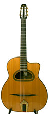 2004 Park Elan 12 Fret